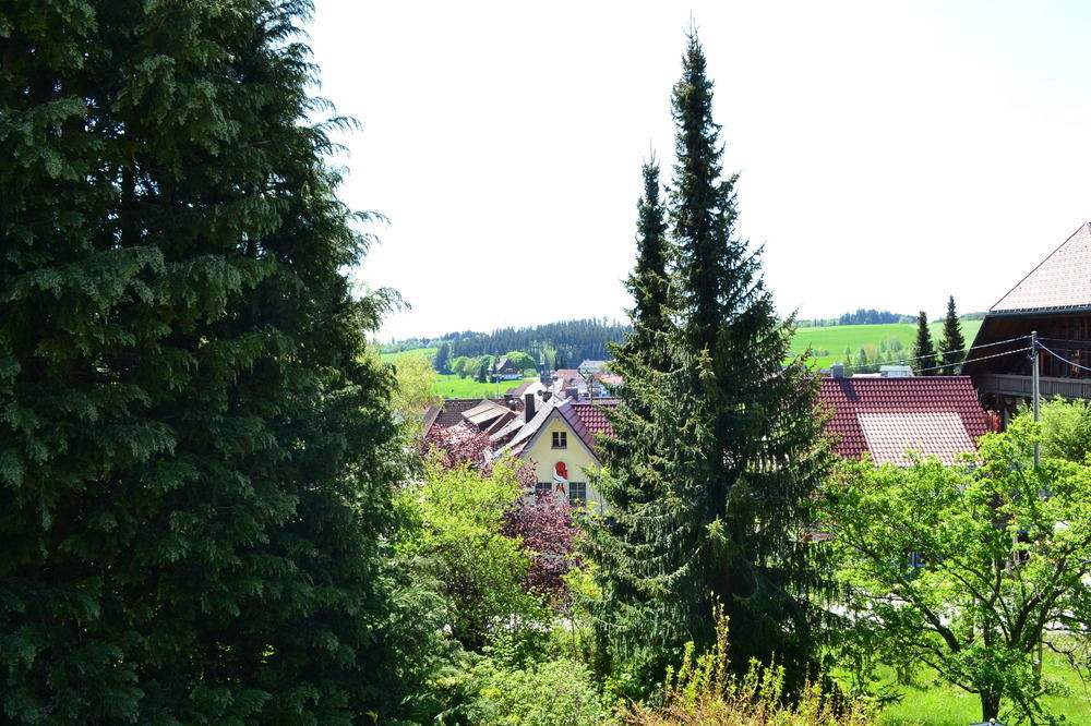 Black Forest Rooms Grafenhausen Exterior photo